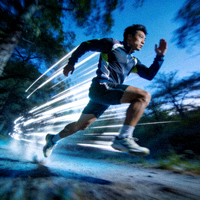 365速发国际官方网站Logo